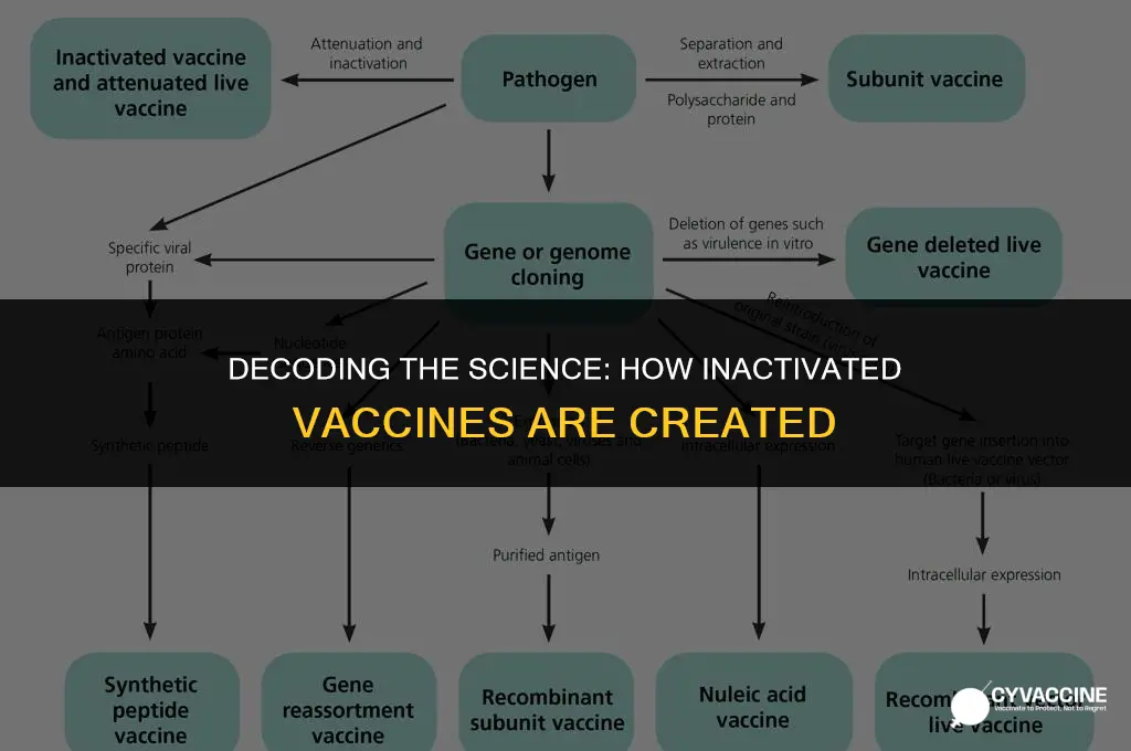 how was the inactivated vaccine made