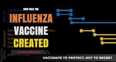 Decoding the Origins: A Journey Through Influenza Vaccine Creation