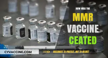 Unveiling the Journey: How the MMR Vaccine Came to Be