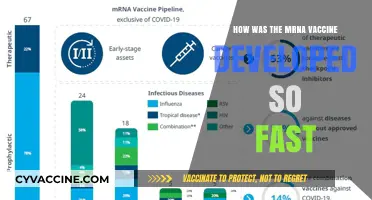 Rapid mRNA Vaccine Development: Unraveling the Science Behind the Speed