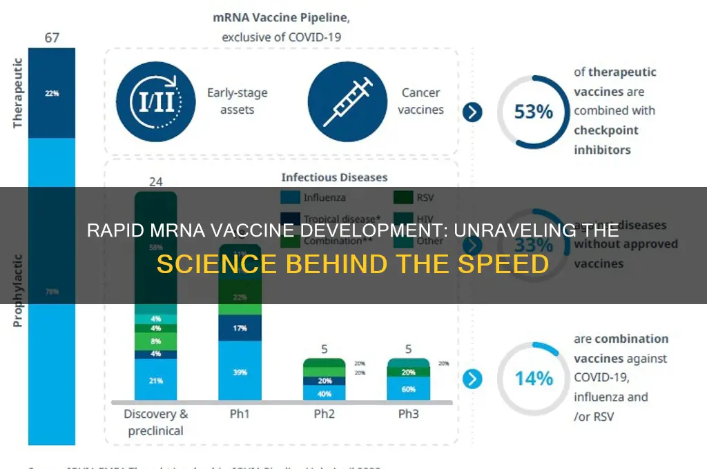 how was the mrna vaccine developed so fast