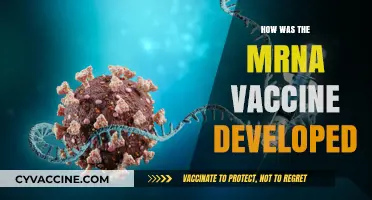 Decoding the Breakthrough: The Journey of mRNA Vaccine Development