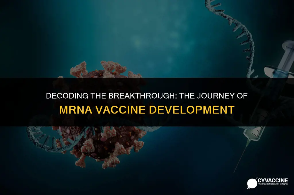 how was the mrna vaccine developed