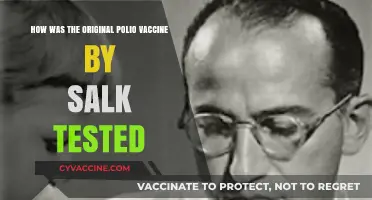 Salk's Polio Vaccine: The Rigorous Testing Behind a Medical Breakthrough