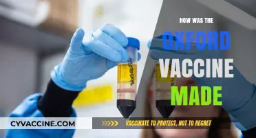 Decoding the Science: How the Oxford Vaccine Came to Be