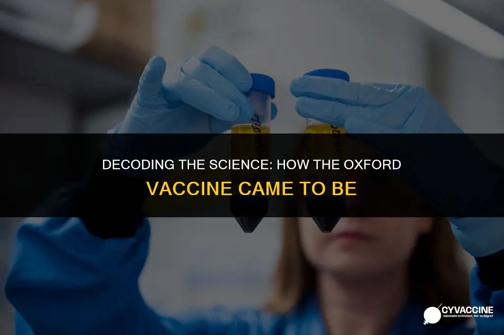 how was the oxford vaccine made