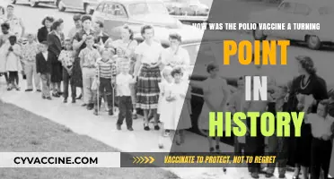 Polio Vaccine: A Historic Turning Point in Global Health