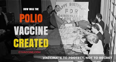 The Remarkable Journey of Creating the Polio Vaccine: A Scientific Triumph