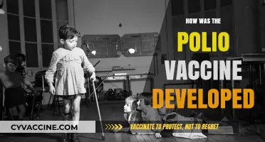 The Journey to Eradication: Development of the Polio Vaccine