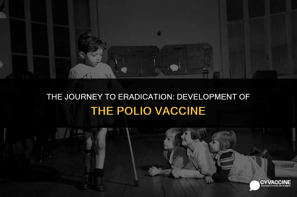 how was the polio vaccine developed