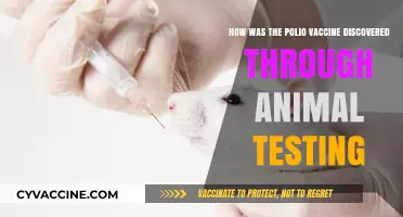 Animal Testing's Role in the Discovery of the Polio Vaccine