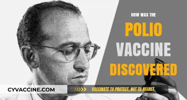 The Breakthrough Discovery of the Polio Vaccine: A Scientific Journey