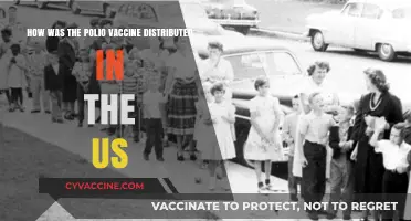 The Polio Vaccine Rollout: A Nationwide Distribution Strategy in the US
