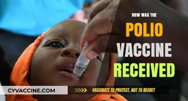 Triumph Over Polio: The Vaccine's Journey and Public Reception