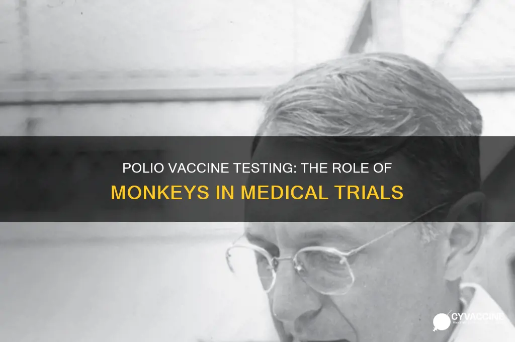 how was the polio vaccine tested on monkeys