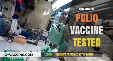 Pioneering Protection: The Rigorous Testing of the Polio Vaccine