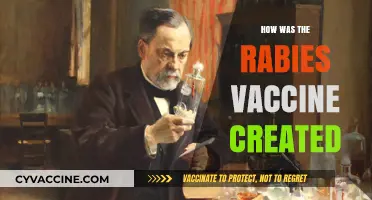Unveiling the Breakthrough: The Creation of the Rabies Vaccine
