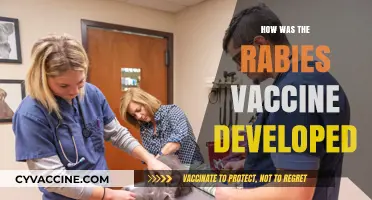 The Evolution of the Rabies Vaccine: A Scientific Breakthrough