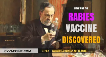 Unveiling the Breakthrough: The Discovery of the Rabies Vaccine
