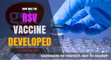 Decoding the Science: The Journey of RSV Vaccine Development