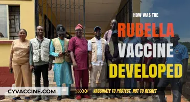 Unraveling the Breakthrough: The Journey of Rubella Vaccine Development