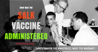 Revolutionizing Polio Prevention: The Ingenious Administration of the Salk Vaccine