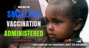 A Shot at History: The Administration of Smallpox Vaccinations