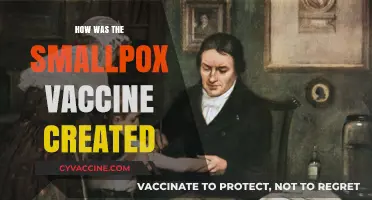 Unraveling the Breakthrough: The Creation of the Smallpox Vaccine