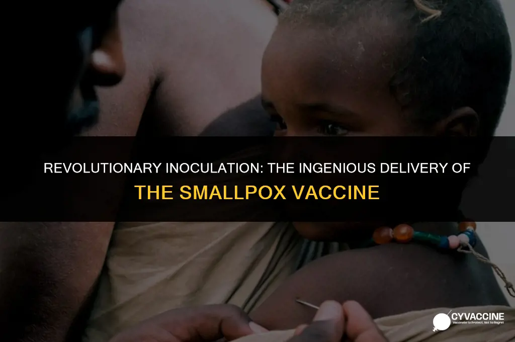 how was the smallpox vaccine delivered