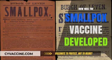 The Revolutionary Journey of Developing the Smallpox Vaccine