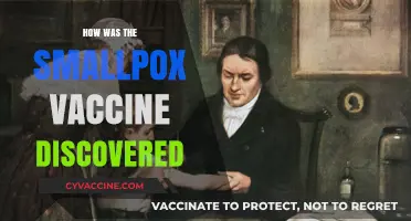 Unveiling the Breakthrough: The Discovery of the Smallpox Vaccine