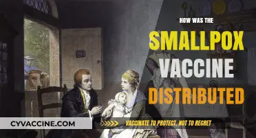 Eradicating Smallpox: The Global Distribution of a Lifesaving Vaccine