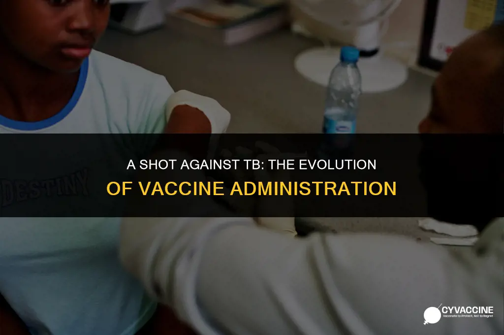 how was the tb vaccine administered
