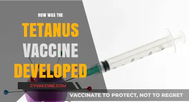 Unraveling the History: The Development of the Tetanus Vaccine
