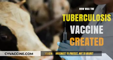 Unveiling the Journey: Development of the Tuberculosis Vaccine