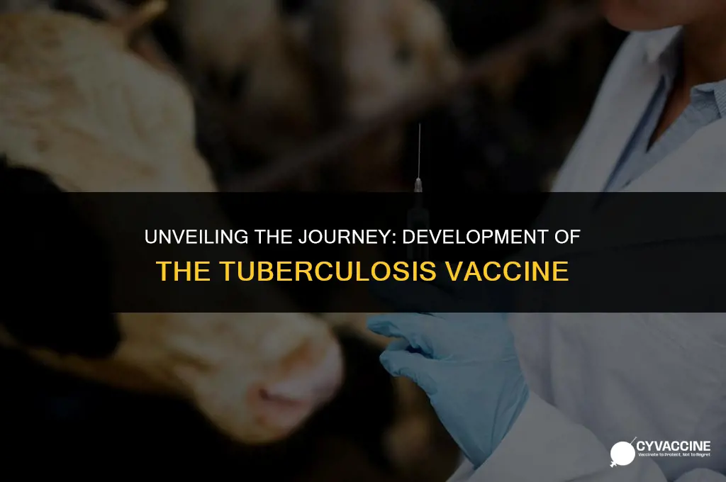 how was the tuberculosis vaccine created