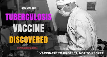 Unveiling the Breakthrough: The Discovery of the Tuberculosis Vaccine
