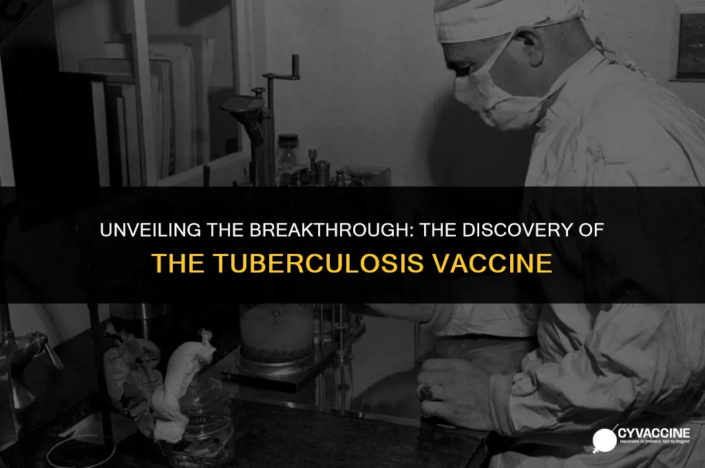 how was the tuberculosis vaccine discovered