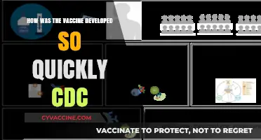 Rapid Vaccine Development: CDC's Role in the COVID-19 Breakthrough