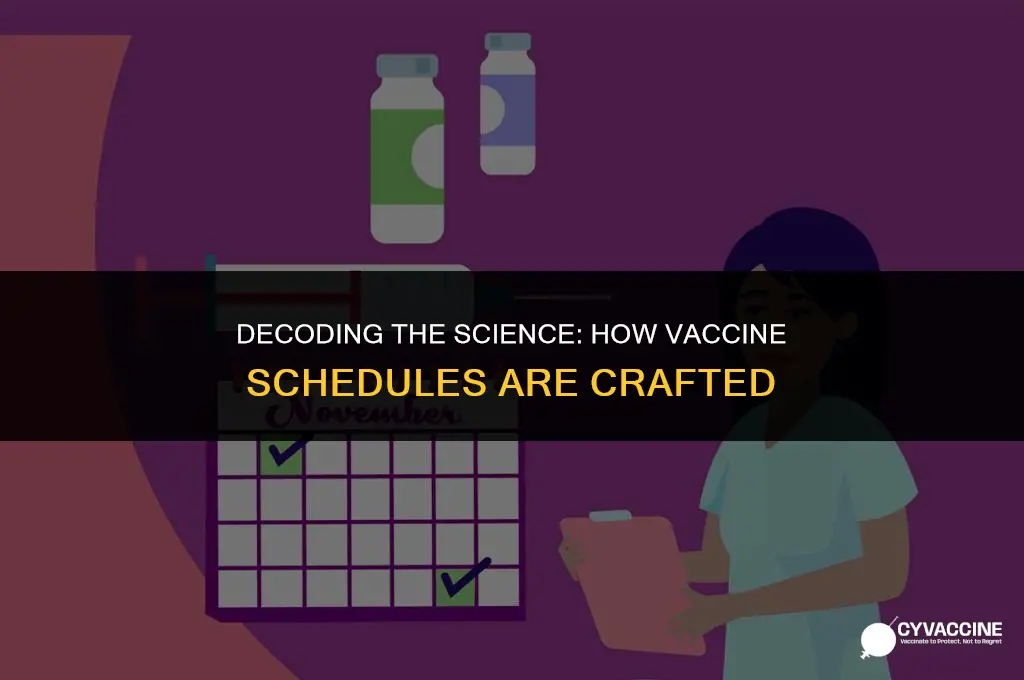 how was the vaccine schedule created