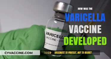 Unveiling the Journey: Development of the Varicella Vaccine