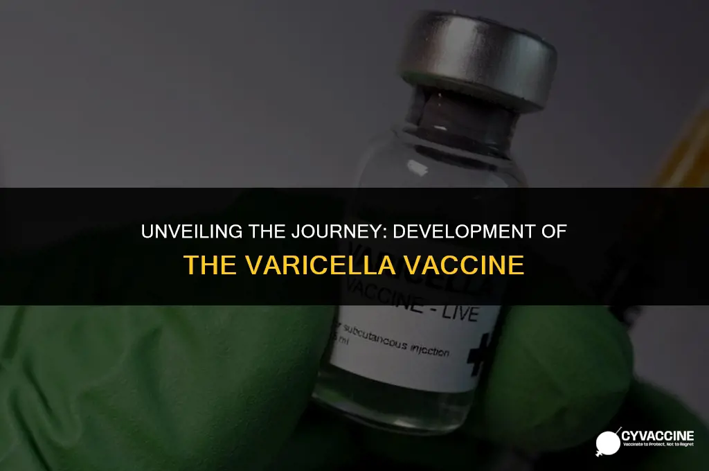 how was the varicella vaccine developed