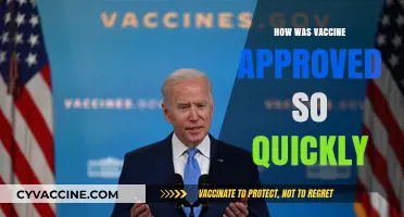 Expedited Vaccine Approval: A Breakdown of the Accelerated Process