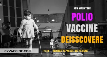 Unveiling the Breakthrough: The Discovery of the Polio Vaccine