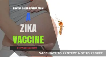 Zika Vaccine: Unlocking Global Health Benefits and Prevention Strategies