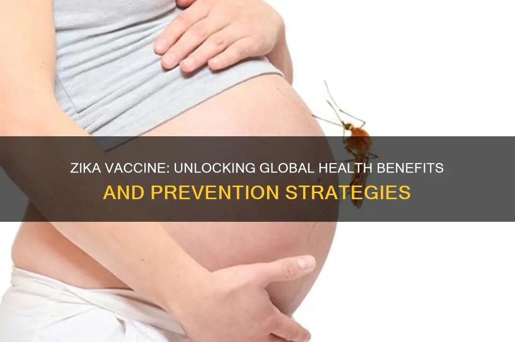 how we could benefit from a zika vaccine
