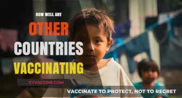 Global Vaccination Efforts: A Comparative Analysis of Progress