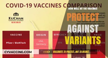 Vaccine Efficacy Against COVID-19 Variants: What We Know So Far