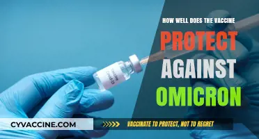 Vaccine Efficacy Against Omicron: Protection Levels and Real-World Impact
