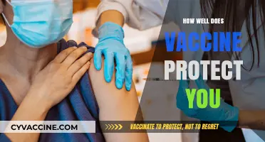 Shielding Against Illness: The Power of Vaccination Protection